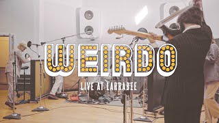 More Fatter  Weirdo Live  Larrabee Studios [upl. by Simonette207]