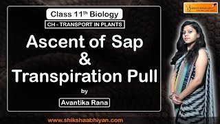 Ascent of Sap and Transpiration Pull [upl. by Owena]