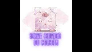 Signe chinois du Cochon personnalité et caractère [upl. by Borrell791]