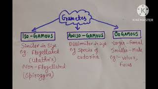 Types of gametes HPTET 2024 November [upl. by Airahs]