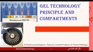 Lecture 21 Gel Technology Principle and compartments [upl. by Ventre600]