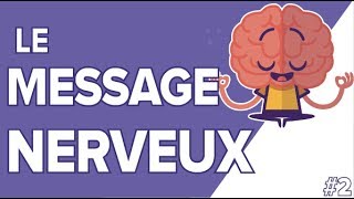 Message Nerveux 2 SVT Terminales S  Mathrix [upl. by Dustan]