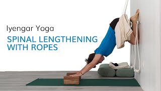 Iyengar Yoga  Spinal Decompression with Ropes [upl. by Corkhill]