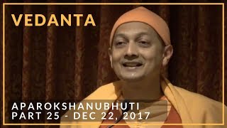 25 Aparokshanubhuti class with Swami Sarvapriyananda  December 22 2017 [upl. by Meilen]