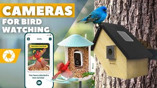 Best Bird feeding Camera in 2024 [upl. by Annaiek]