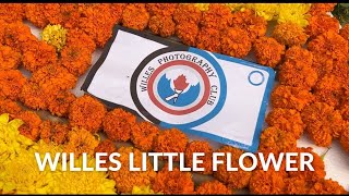 Willes Little Flower School And College  21 FEBRUARY  LABIB RAHMAN [upl. by Massey976]