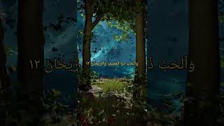 Best tilawate Quraan 🕋 shortsfeed shortvideo short islam [upl. by Ahras]