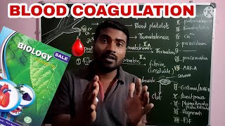 Blood coagulation class 10NaturalBiology [upl. by Ahsinev622]