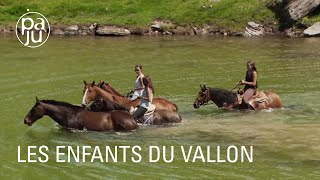 Natacha offre chaque été des vacances à une quarantaine de chevaux poulains ou poneys [upl. by Ahsinan]