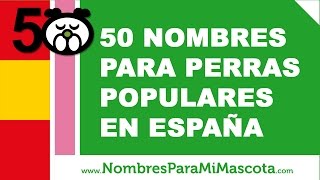 50 nombres para perras populares en España  wwwnombresparamimascotacom [upl. by Ryley]