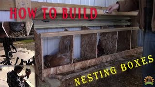 How to Build Nesting Boxes for Chickens [upl. by Sebastiano]