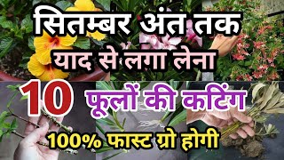 सितम्बर के मंथ में तुरंत लगा लेना 10 परमानैंट फूलों की कटिंग  permanent flowers grow by cutting [upl. by Aicenev]