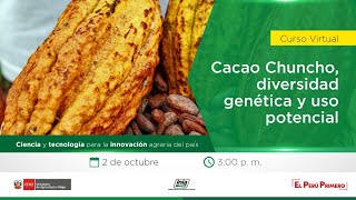 Cacao Chuncho Diversidad genética y uso potencial [upl. by Etteuqal]