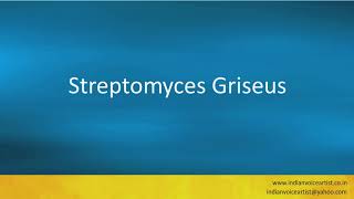 Pronunciation of the words quotStreptomyces Griseusquot [upl. by Lalaj802]