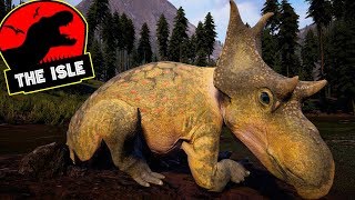 NOVO Filhotebebê Diabloceratops Dilofossauros Caçando Herbívoros CORRE  The Isle  PTBR [upl. by Aslehc]