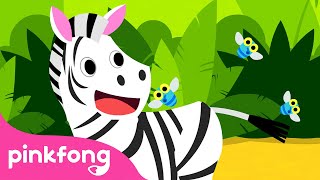 ¡Cebra Cadabra  🦓 Cebra  Canciones de Animales  Pinkfong Canciones Infantiles [upl. by Anahsal]