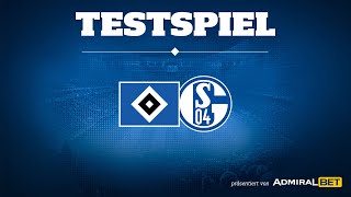 RELIVE Testspiel Hamburger SV vs FC Schalke 04 [upl. by Neetsirhc]