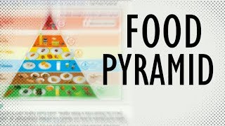 What is the Food Pyramid Food Pyramid explained in 2 Minutes [upl. by Patterson294]