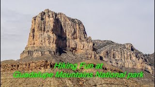 4 Minute Tour of Guadalupe Mountains National Park [upl. by Jolee667]