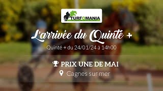 Turfomania Arrivée quinté du Mercredi 24 Janvier 2024 [upl. by Akihsat]