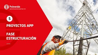 Fase de Estructuración de las Asociaciones PúblicoPrivadas y Proyectos en Activos  Curso Virtual [upl. by Autrey]