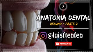 Anatomia Dental RESUMO  Parte 2 [upl. by Consuela]