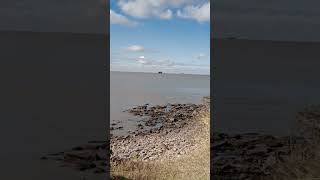 cómo ver el río de la plata desde la reserva ecológica [upl. by Allemrac348]