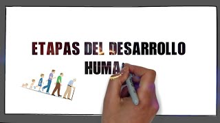 Etapas del desarrollo humano  Cuales son las ETAPAS DEL DESARROLLO HUMANO [upl. by Neerihs761]