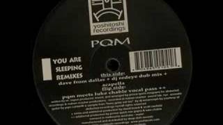 PQM  You Are Sleeping PQM Meets Luke Chable Vocal Pass [upl. by Kragh879]