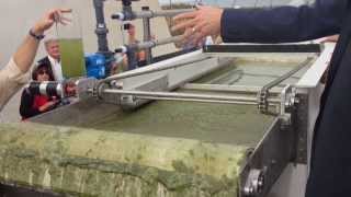 EWS Algae A60 HighSpeed ChemicalFree Algae Harvesting [upl. by Festus]