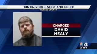 Man charged after 3 hunting dogs shot killed South Carolina DNR officials say [upl. by Gustafsson]