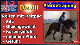 Depill Reitpad Training Tipps aus Unterricht Isländer Pferdetraining Profi Tanja Schienagel [upl. by Alios720]