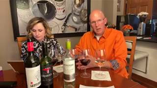 Wine Tasting on Your Couch Week 7 Trivento Torrontes Riccitelli Malbec and Tamari MalbecCab Franc [upl. by Yecats]