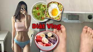 DIÄT VLOG  meine Tipps zum GESUNDEN ABNEHMEN Melissa Minh [upl. by Siuqcram254]