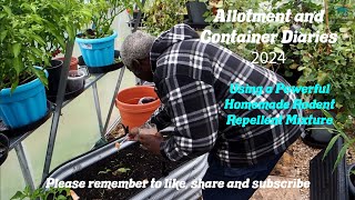 DWW Gardening 2024  Using a Homemade Rodent Repellent [upl. by Philbin]