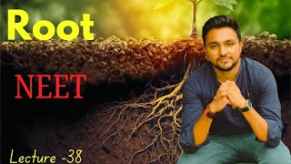 Root  મૂળ  Morphology of Flowering Plant  NEET  Vijaysir [upl. by Llenej968]