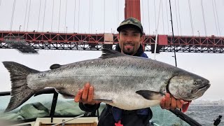 HOG Hunting for Huge King Salmon in California [upl. by Rochemont]