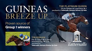 Tattersalls Guineas Breeze Up Sale 2024 Breezes in lot order [upl. by Nylsoj52]