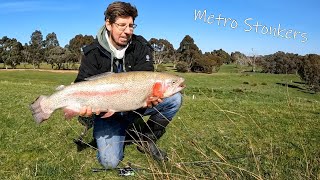 GIANT Trout in a TINY Pond  Land Based Stonkers at Yarrambat Lake [upl. by Ardnuaek292]