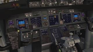 X plane 11  Tutoriel Démarrage 737800zibo [upl. by Eislrahc]