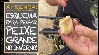 APRENDA ESQUEMA PARA PEGAR PEIXE GRANDE NO INVERNO [upl. by Ailbert]