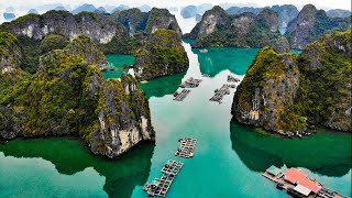 Vietnam  Majestic Bai Tu Long Bay in 4K Ultra HD [upl. by Javler]