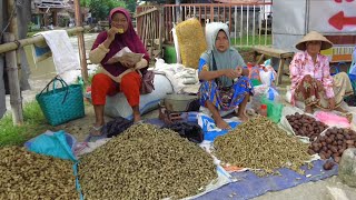 Street life in Indonesia  Ginggang Jeketro Grobogan [upl. by Hgielanna]