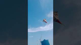 MAKING DIFFERENT STYLE OF KITE USING NEWSPAPER 😍 shorts pkcrazyexperiments [upl. by Grindle]