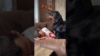 Playing with a Growling Rottweiler [upl. by Norraf]