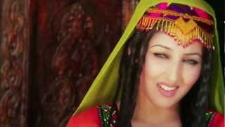 Seeta Qasemie Watandar Hazaragi New song 2013 [upl. by Naesed278]