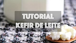 KEFIR DE LEITE  Como cultivar Kefir de Leite e suas Variações [upl. by Anide]