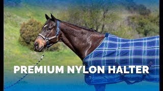 Premium Nylon Halter [upl. by Lusar]