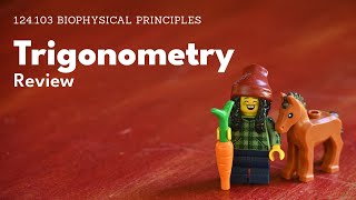 Trigonometry Review [upl. by Nylauqcaj]