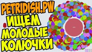 PETRIDISHPW   10  ВЕСЁЛЫЕ ЭКСПЕРИМЕНТЫ [upl. by Mode]